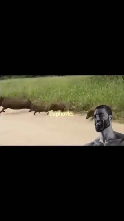 Nihilism is a blind worldview