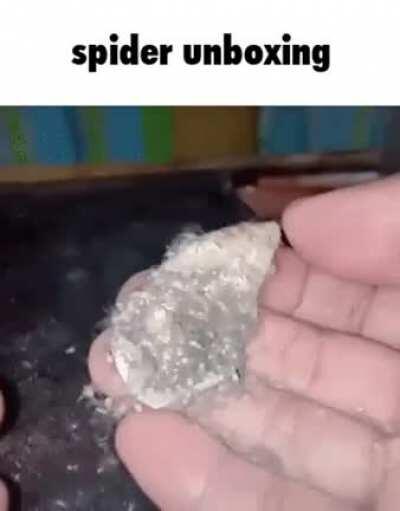 Opening a piece of candy at 700mg