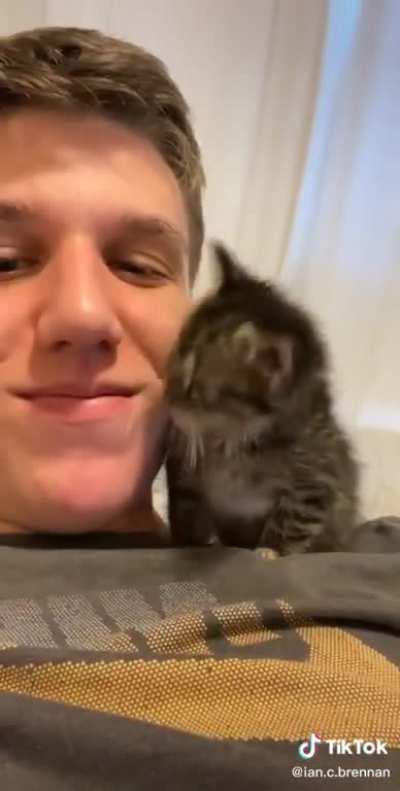 tiCKTOK exTREmISt Murders cAt WiTh POSioN kiSS