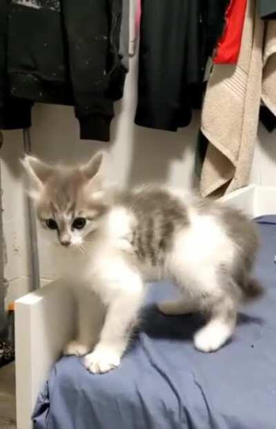 It's me vs you greebles let's go