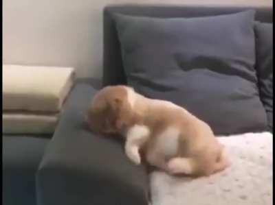 He might have crashed his bike