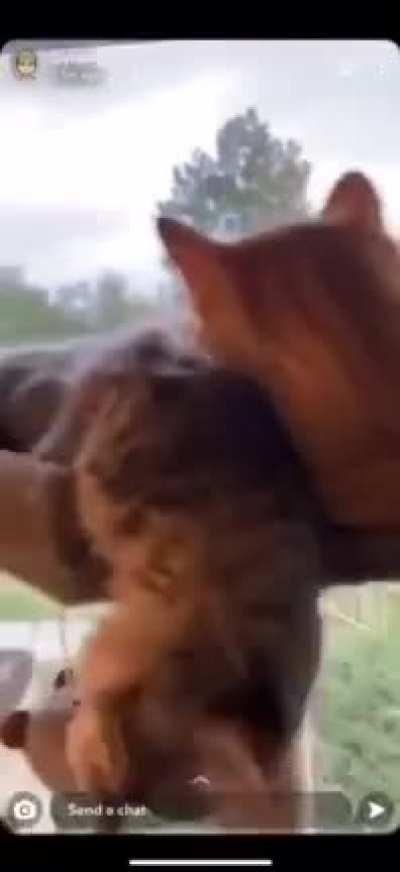 His heart stop for a second