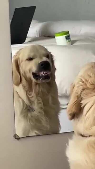 Show your mean face...and scene