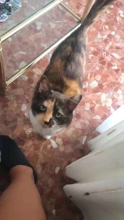 Her TED Talk was such a hit that she’s starting a podcast.