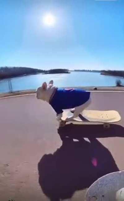 Ain’t no stopping him!