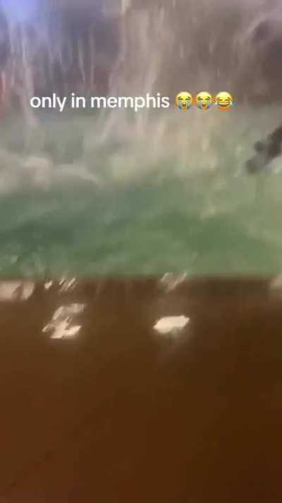 Just guys being dudes (the last one was amazing)