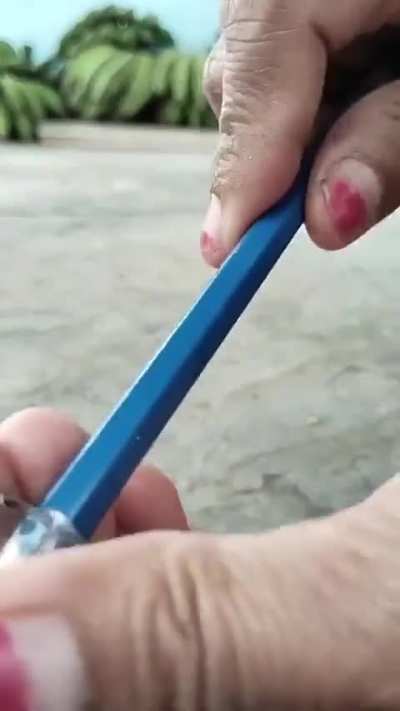 Makan siang gratis akan bermanfaat bagi banyak anak, terutama di Indonesia Timur