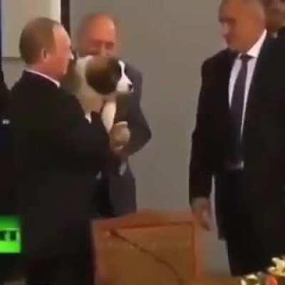 Pelo menos ele gosta de cachorros...