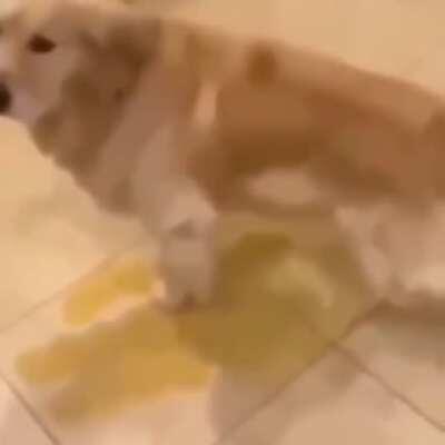 Nothing to see here...