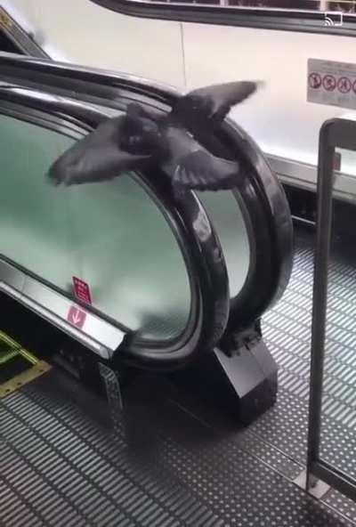 Why you laughin.. I do this all the time.