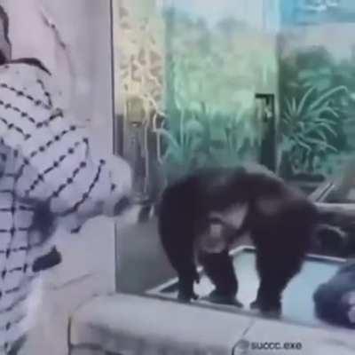 My and my monkeys reaction when I black border another expert map