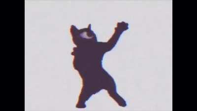 Vibing cat goes to jail