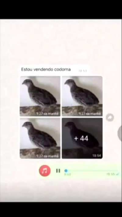 uniao_dos_mansos - Video #9526