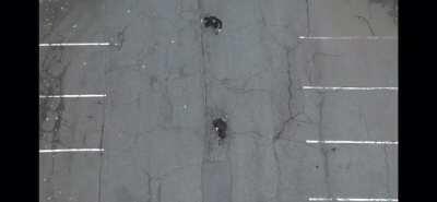 A Noob’s Guide to Felwinter’s Lie