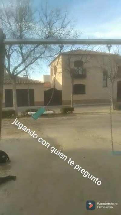 No se editar pero me da igual