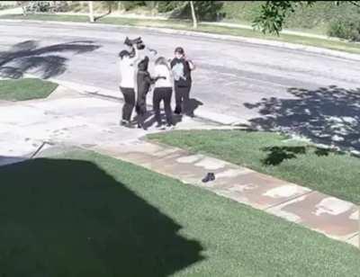 at taking the dog on a walk