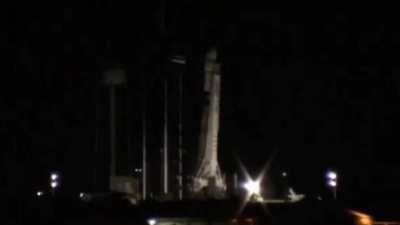 It’s Scrub Gender Reveal Day!