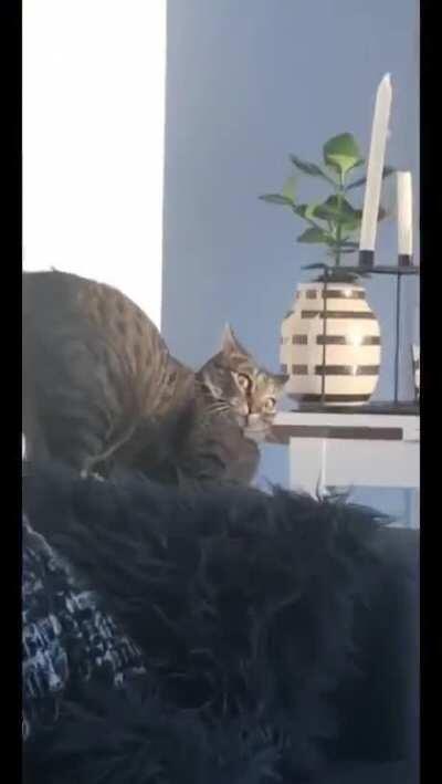 They're in front of me