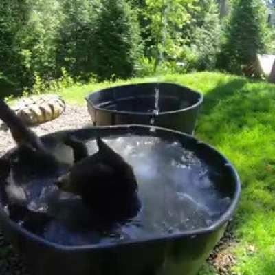 What are you staring at? I'm showering!