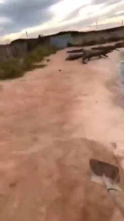 Average soldier gameplay