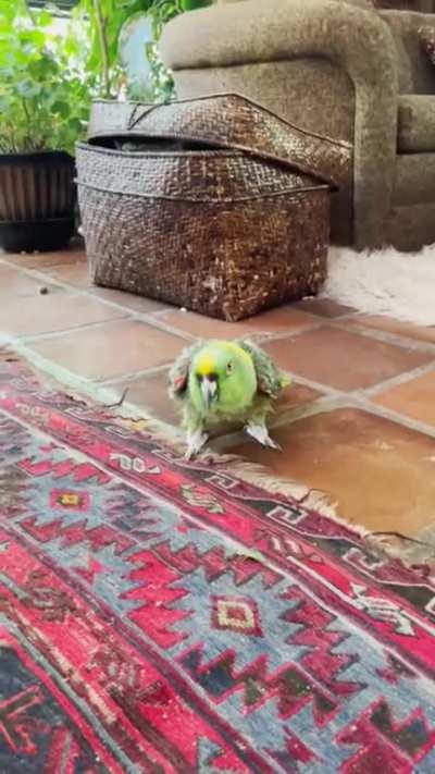 It’s ok, I’m not gonna hurt you.