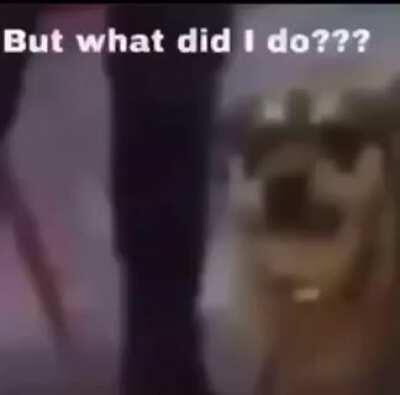 U stopid kcroker. Stopid duog tuo