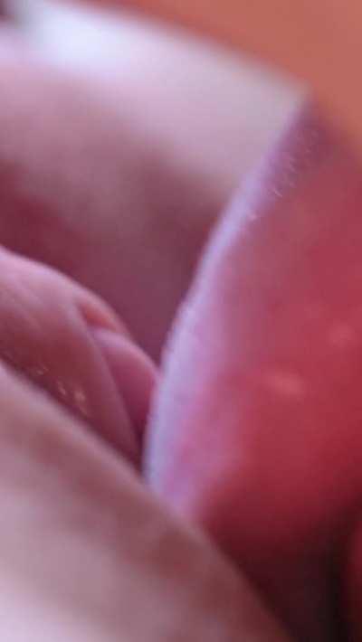 Closeup clam consumption