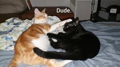 New favourite reaction gif