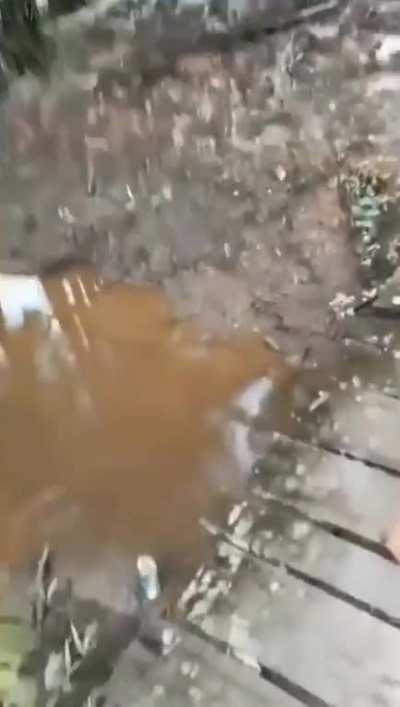 To pick up slippers.