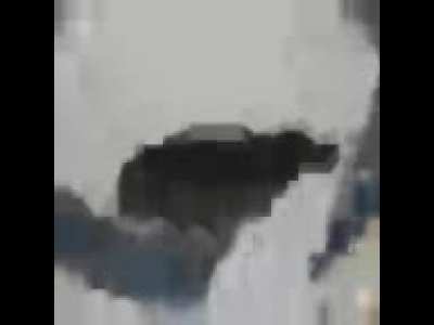 здраво тренутак број 10