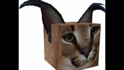 sorry i couldnt have audio at the end