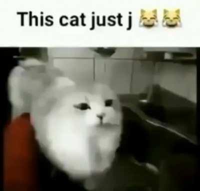 Cat be eateot@?!?!?!?!!?