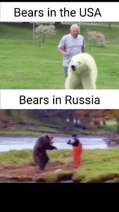 Bears op over there