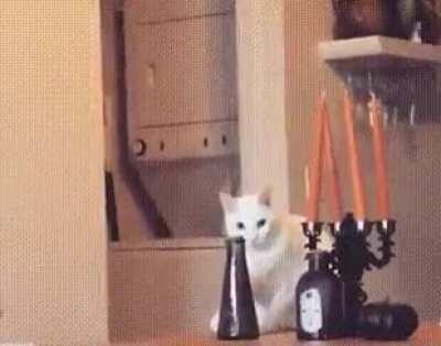 That's what I thought