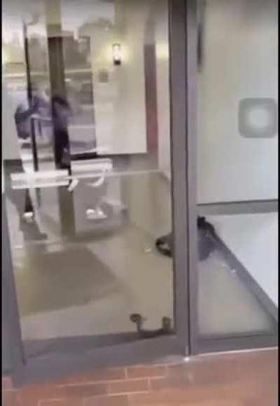 Win stupid prizes when you fight with a real n****