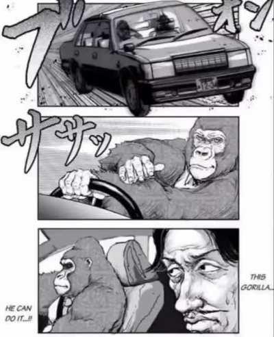 THIS GORILLA HE CAN DO IT!