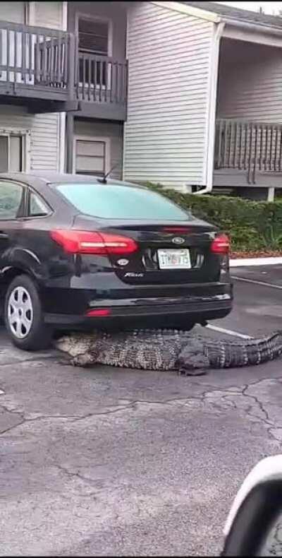 He’s changing the oil