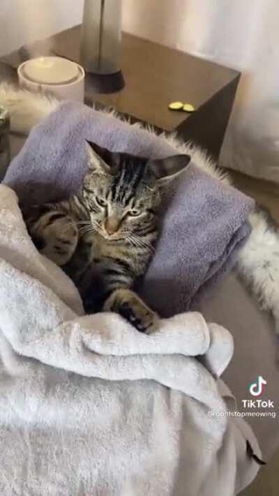 I took him to the spa.