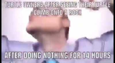 This is a certified hood classic