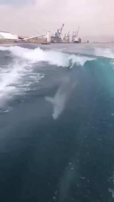 Keeps it real stable on a yacht