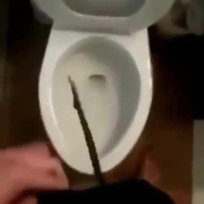 No es porno así que míratelo sucio(el pene no es un pene XD)