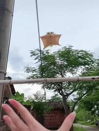 The landing was so adorable to look.