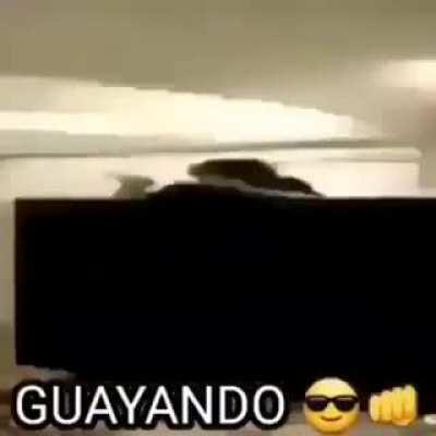 GUAYANDO 😎👊