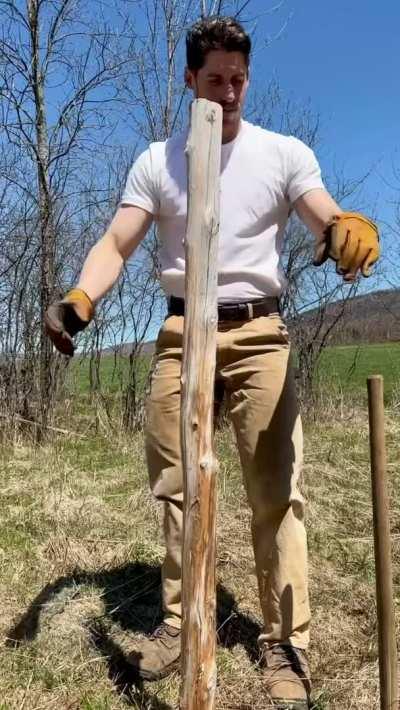 Who wants a pounding?