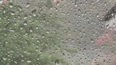 Hailstorm from last month. Living under the roof really has its perks.