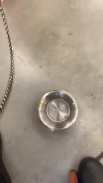 Found on tiktok, reposted without any identifing features