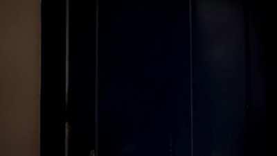 Rosanne Mulholland, extremely hot brazilian actress in movie Falsa Loura (2007)