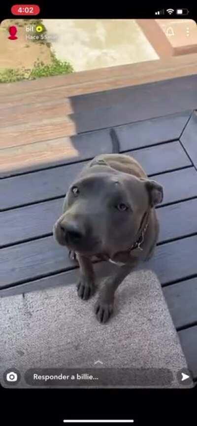 Her baby voice🥺 — Via her Snapchat story