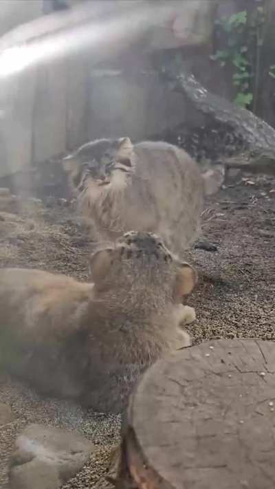 i think roles are changed now