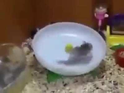 “Initiating spin”